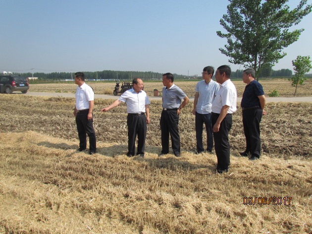 IMG_0014.JPG IMG_0014.JPG