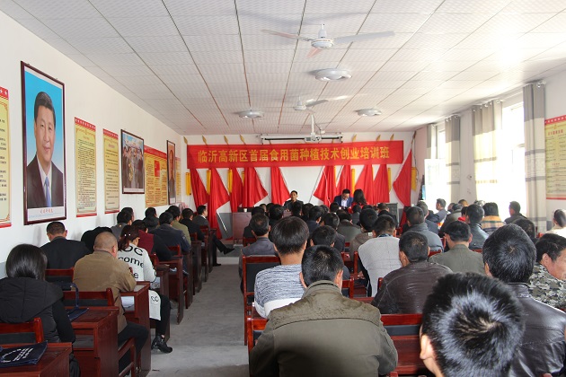 IMG_6667.JPG IMG_6667.JPG