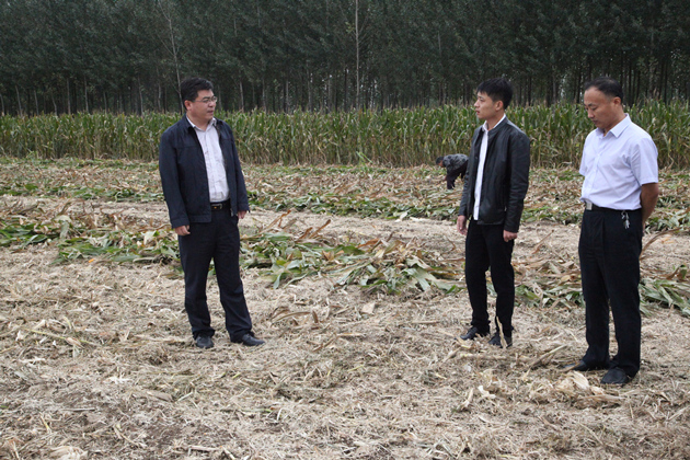 img_5166_副本.jpg img_5166_副本.jpg